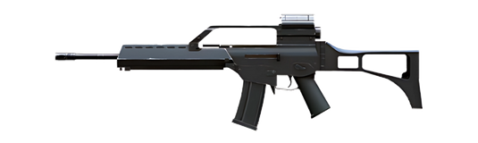 G36